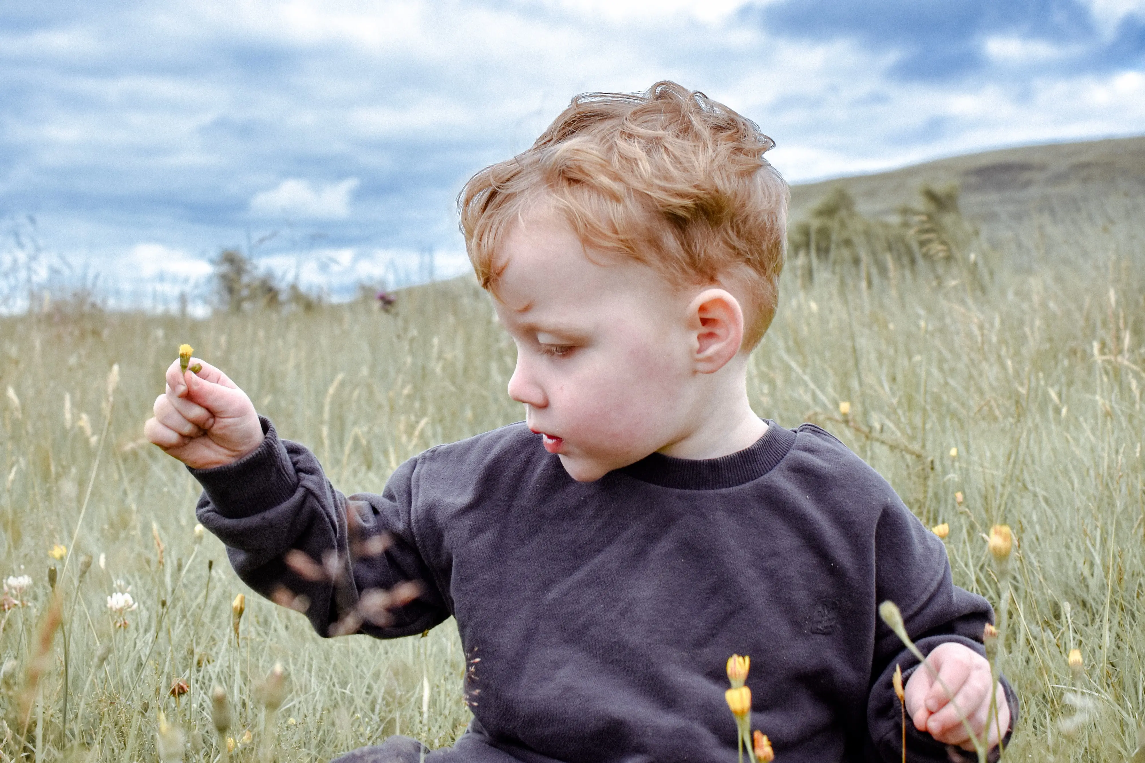 Capturing curiosity